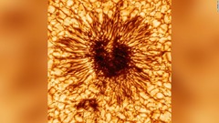 「前例ない」高解像度の太陽黒点画像、新型望遠鏡でとらえる